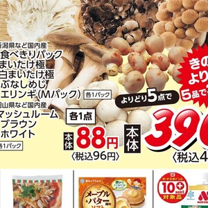 エリンギ