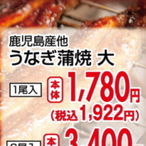 うなぎの蒲焼き