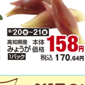みょうが