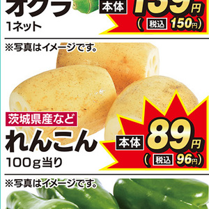 レンコン