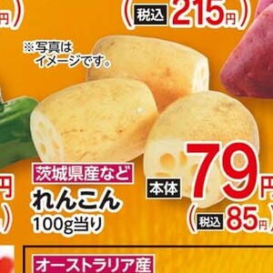 レンコン