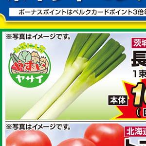 ながねぎ