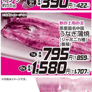 うなぎの蒲焼き