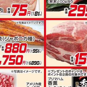 うなぎの蒲焼き