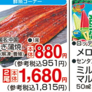 うなぎの蒲焼き