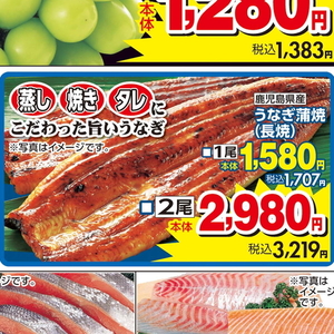 うなぎの蒲焼き