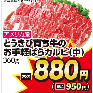牛カルビ