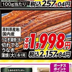 うなぎの蒲焼き