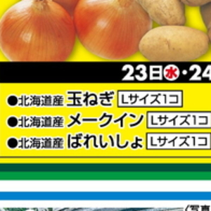 たまねぎ