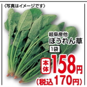 ほうれん草