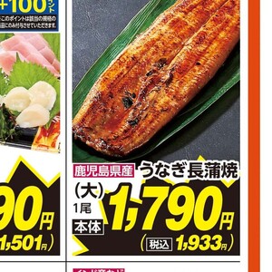 うなぎの蒲焼き