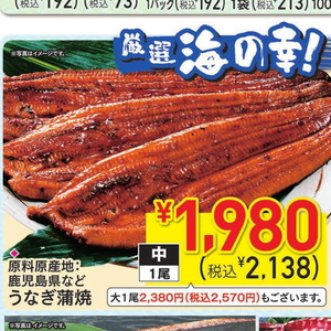 うなぎの蒲焼き