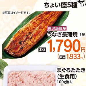 うなぎの蒲焼き