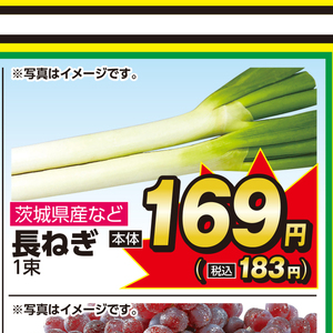 ながねぎ