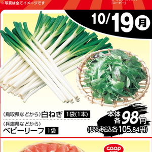 ながねぎ