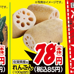 レンコン