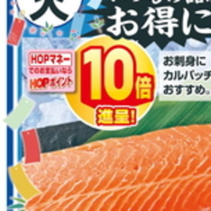 エリンギ