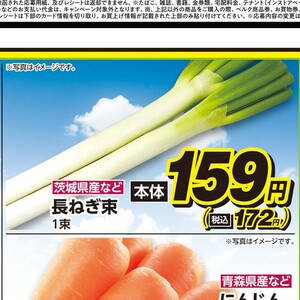 ながねぎ