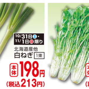 ながねぎ