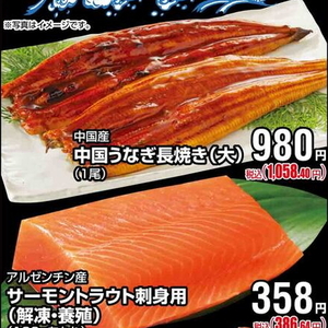 うなぎの蒲焼き