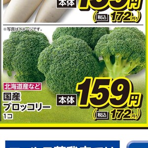 ブロッコリー