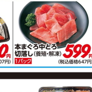 まぐろ中とろ