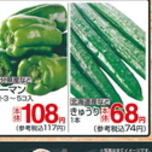 豆苗