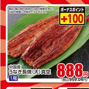 うなぎの蒲焼き