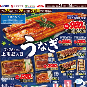うなぎの蒲焼き
