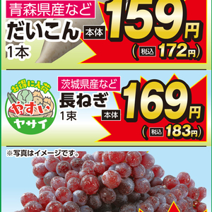 ながねぎ