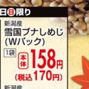 しいたけ