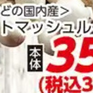 マッシュルーム