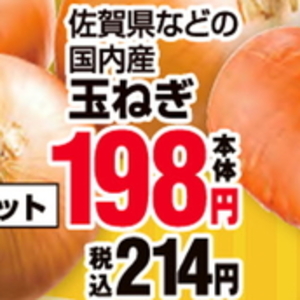 たまねぎ