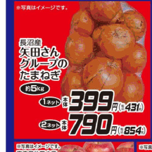 たまねぎ