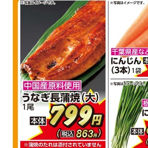 うなぎの蒲焼き