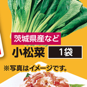 こまつ菜