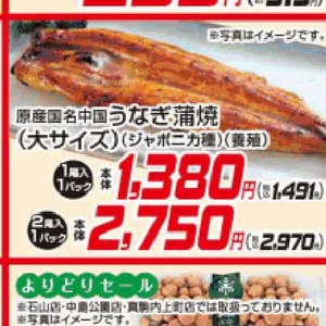 うなぎの蒲焼き