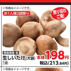 しいたけ