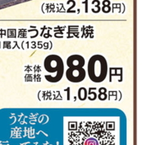 うなぎの蒲焼き