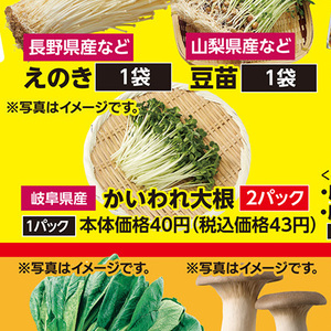 カイワレ大根
