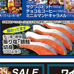 さけ（切り身）