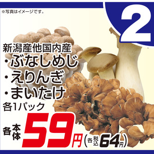 まいたけ