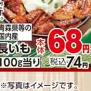 ながいも