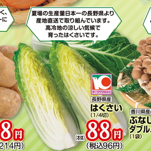 はくさい
