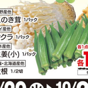 えのき茸