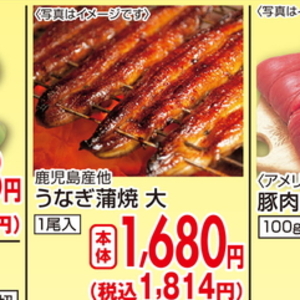うなぎの蒲焼き