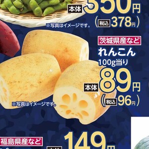レンコン