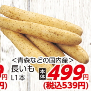 ながいも