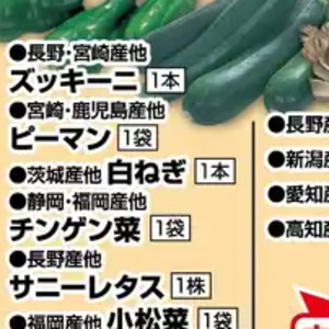 ながねぎ
