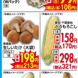 しいたけ